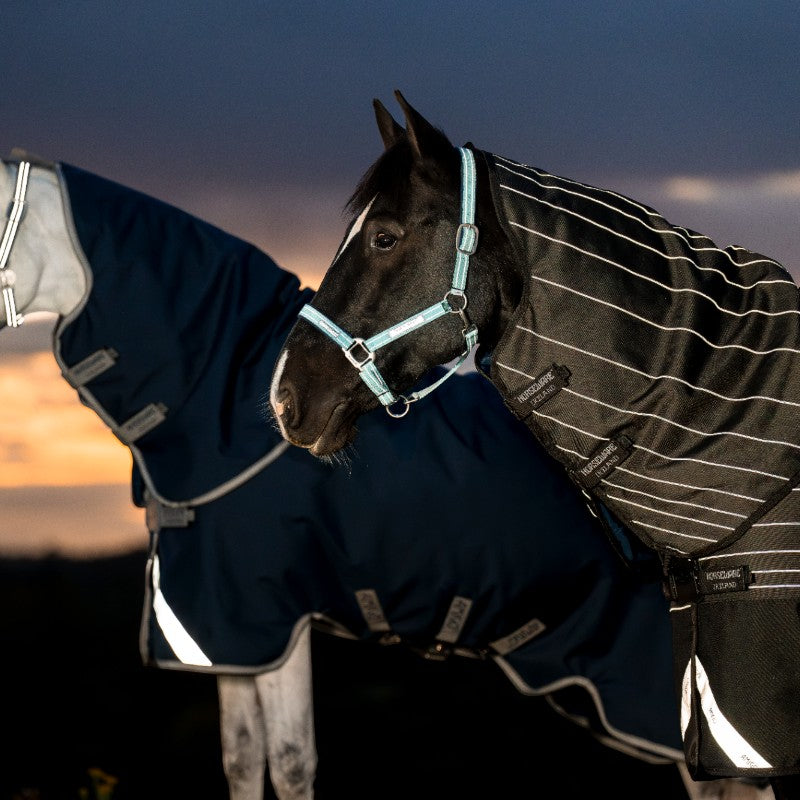 Horseware - Couverture d'extérieur Amigo FieldSafe Plus Turnout marine/ titanium grey/ argent 0g | - Ohlala