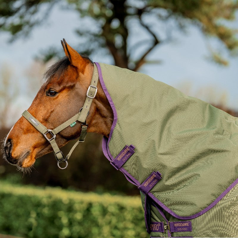 Horseware - Couverture d'extérieur Amigo Hero Ripstop Plus bramble/ winterberry/ taupe 100g | - Ohlala
