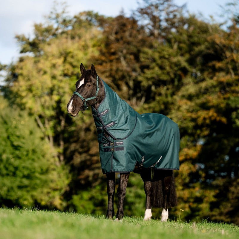 Horseware - Couverture d'extérieur Amigo Ripstop Plus Turnout dynasty green/ marine/ argent 200g
