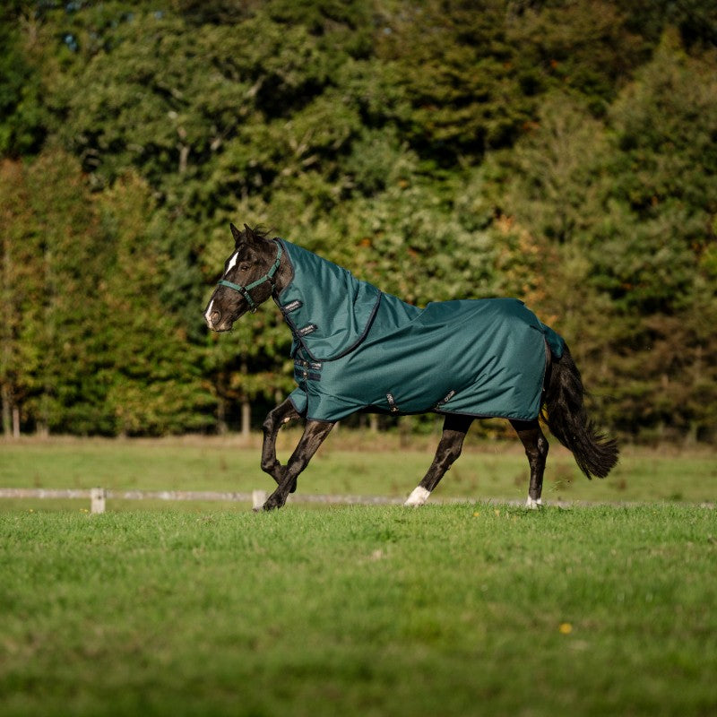 Horseware - Couverture d'extérieur Amigo Ripstop Plus Turnout dynasty green/ marine/ argent 200g