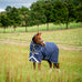 Horseware - Buitendeken Rhino Plus Turnout marine/ titanium grey/ classic blue 450g | - Ohlala