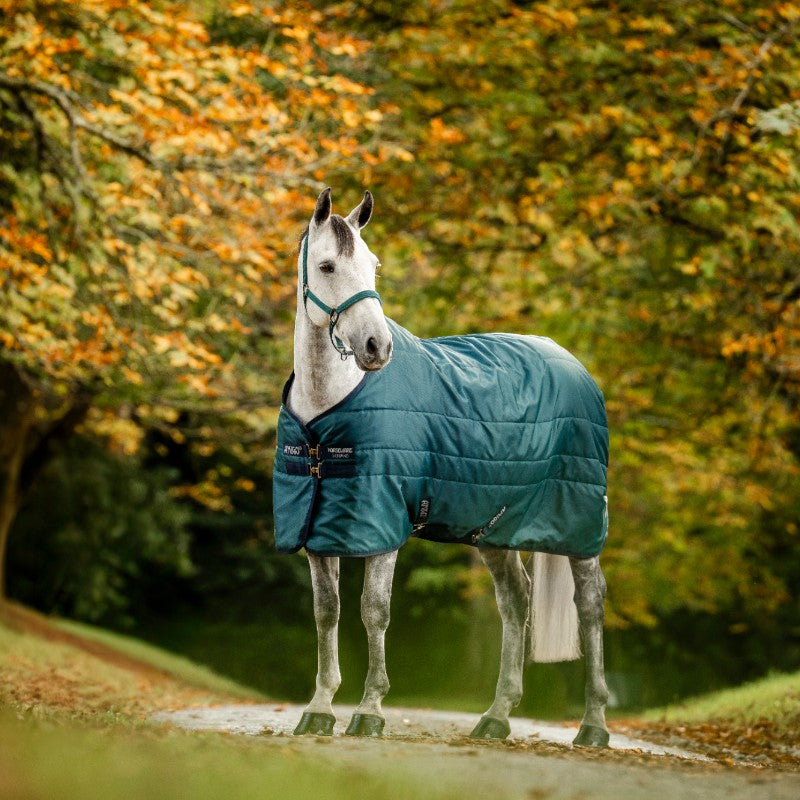 Horseware - Couverture de box Amigo Ripstop Insulator dynasty green/ marine/ argent 200g