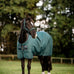 Horseware - Couverture d'extérieur Amigo Ripstop Pony Turnout dynasty/ marine/ argent 50g | - Ohlala