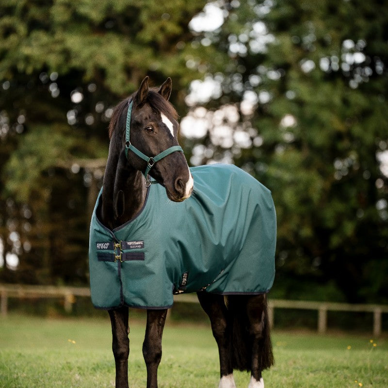 Horseware - Couverture d'extérieur Amigo Ripstop Pony Turnout dynasty/ marine/ argent 50g