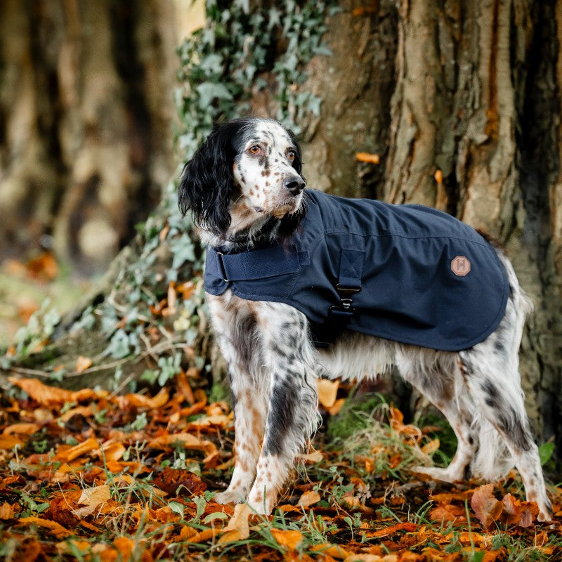 Horseware - Couverture extérieur pour chien Newmarket Heritage marine/ witney navy