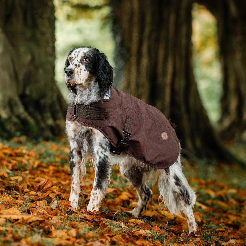 Horseware - Couverture extérieur pour chien Newmarket Heritage marron/ witney navy