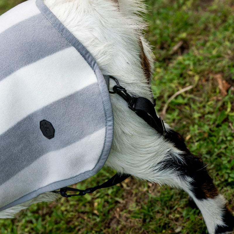 Veste Imperméable Et Isolante Pour Veaux, Chèvres, Moutons - Protection Hiver, Temps Froid Extérieur, Ajustable