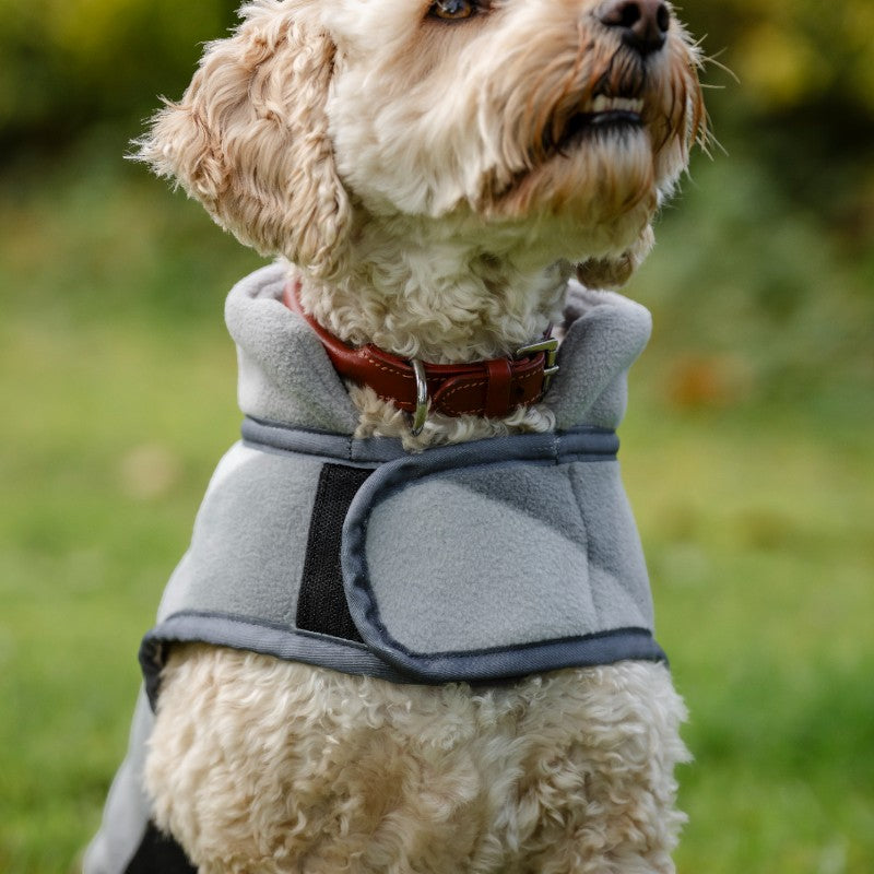 Horseware - Couverture polaire pour chien Newmarket witney charcoal | - Ohlala