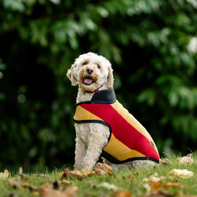 Horseware - Couverture polaire pour chien Newmarket witney gold