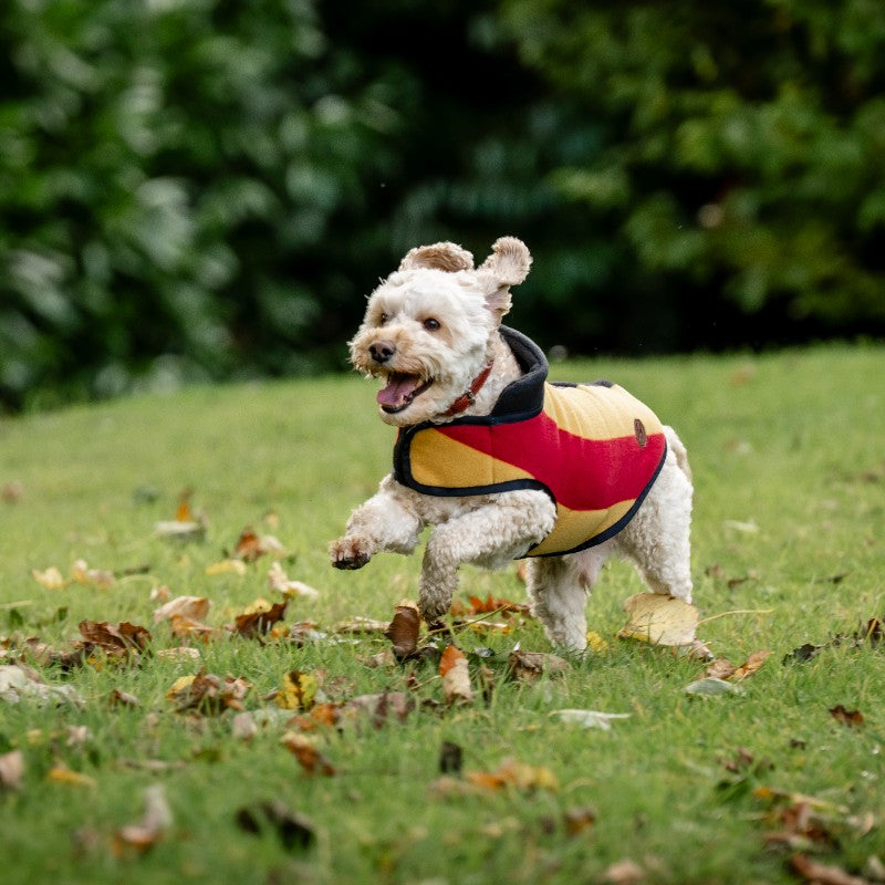 Horseware - Couverture polaire pour chien Newmarket witney gold