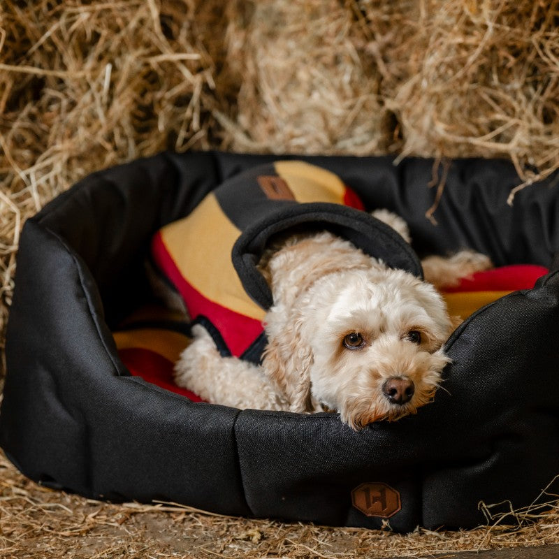 Horseware - Couverture polaire pour chien Newmarket witney gold