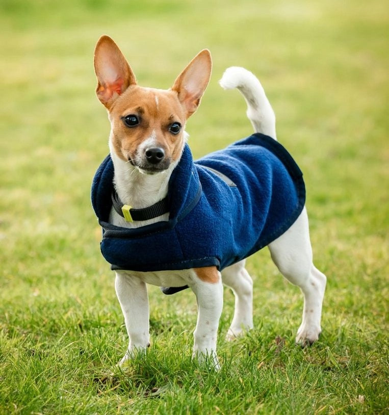 Horseware - Couverture polaire pour chiens Signature marine | - Ohlala