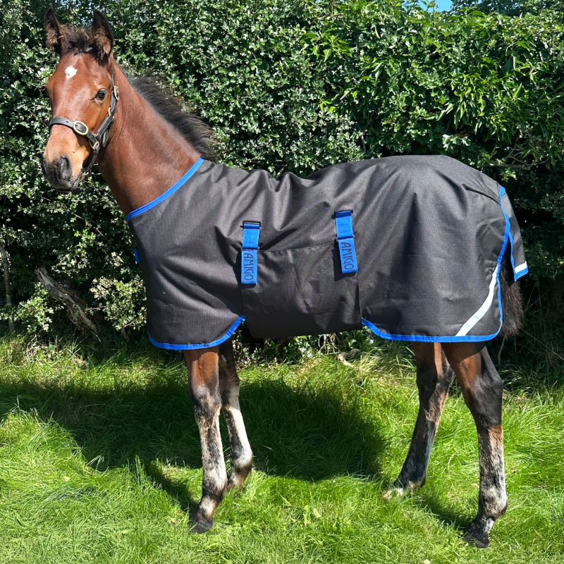 Horseware - Couverture d'extérieur Amigo Ripstop Foal Turnout  noir/ classic blue 50g