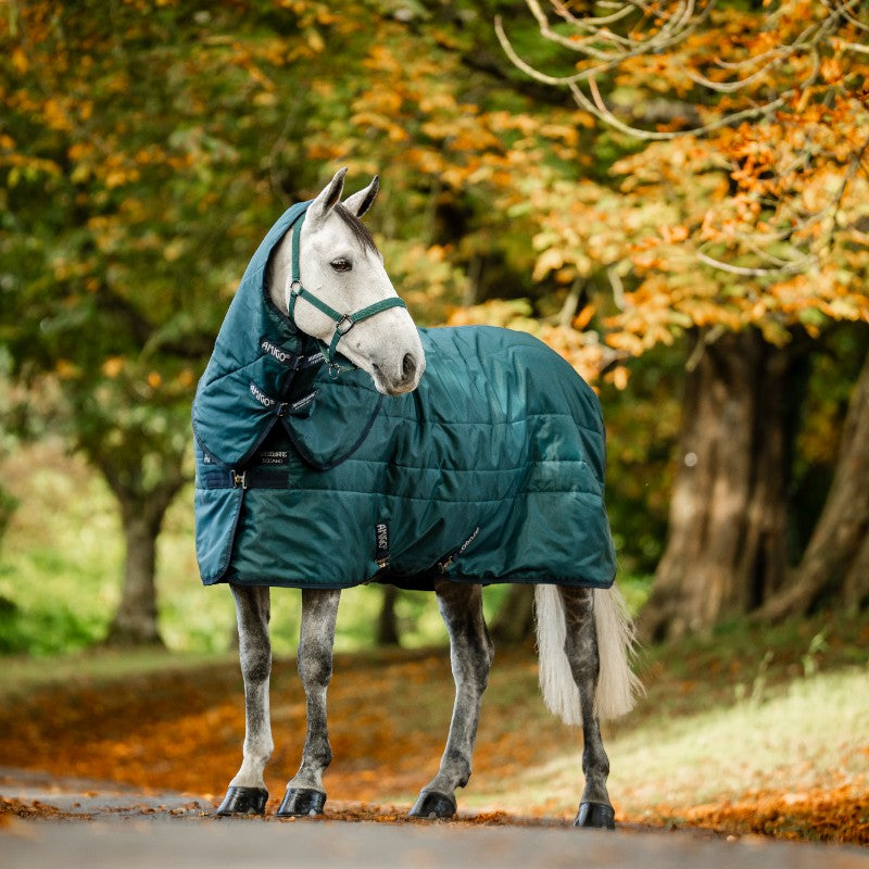 Horseware - Couvre-cou couverture de box Amigo Ripstop Insulator dynasty green/ marine/ argent 200g