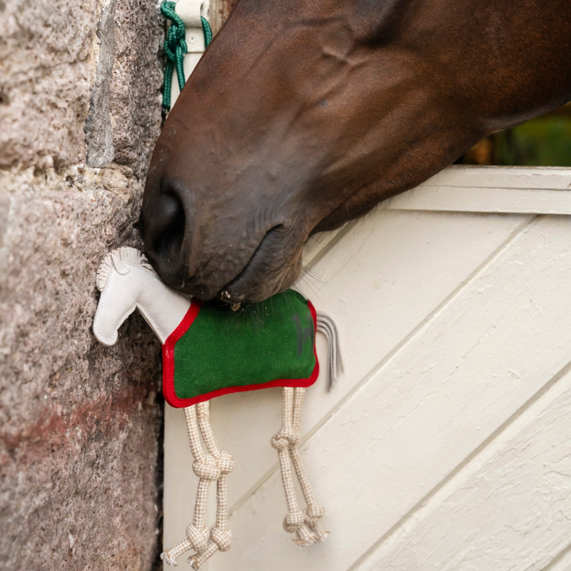 Horseware - Jouet pour chevaux Stable Toy blanc/ vert