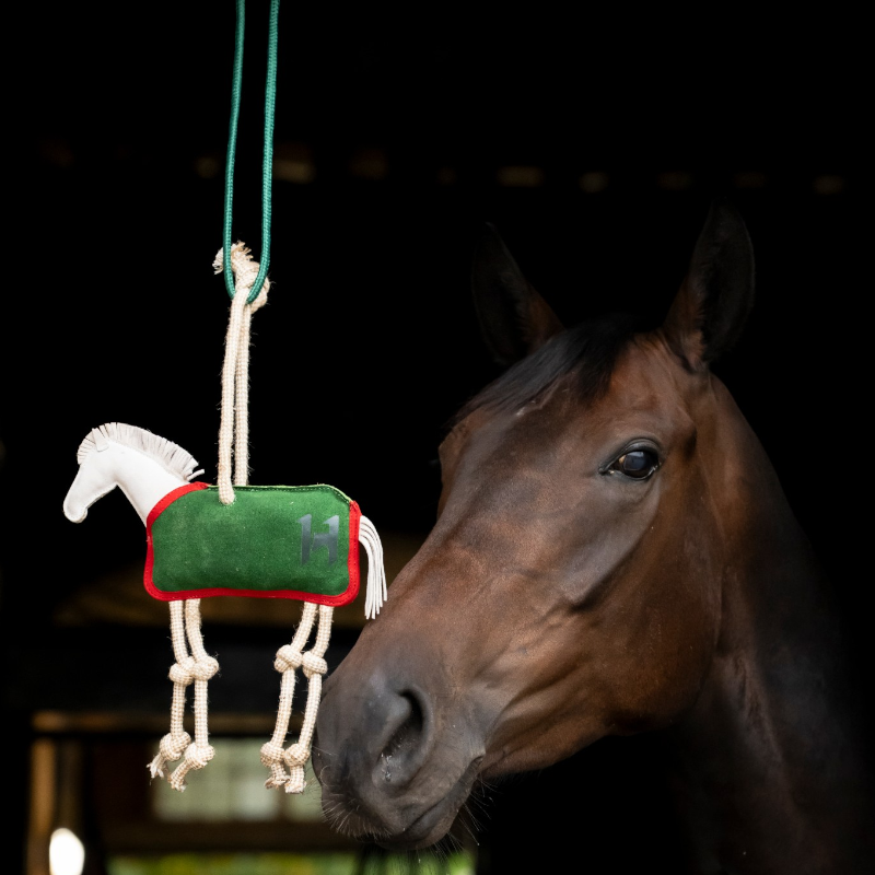 Horseware - Jouet pour chevaux Stable Toy blanc/ vert