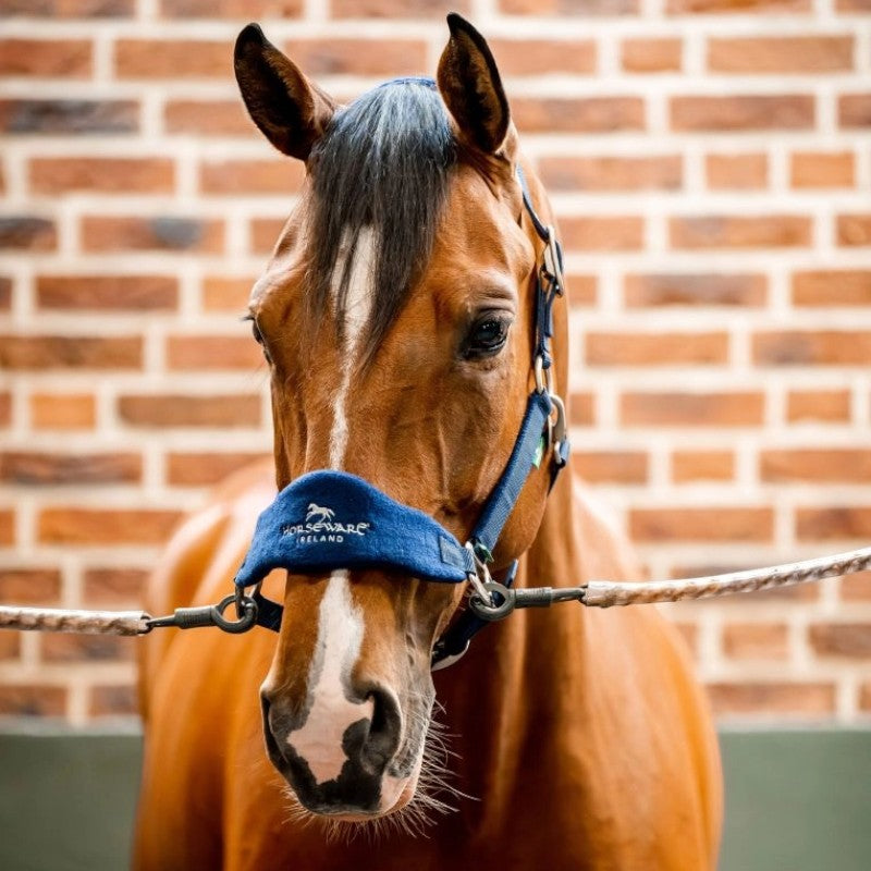 Horseware - Licol de pansage Signature Grooming marine | - Ohlala