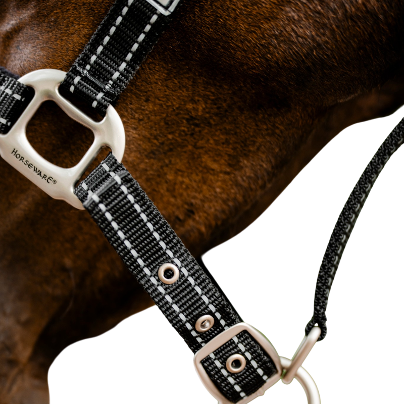 Horseware - Licol de sécurité FieldSafe noir/ reflective