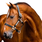Horseware - Signature leren halster zwart | - Ohlala
