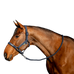 Horseware - Halster en longe Amigo marine | - Ohlala