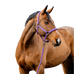 Horseware - Halster en loodlijn Amigo winterberry | - Ohlala