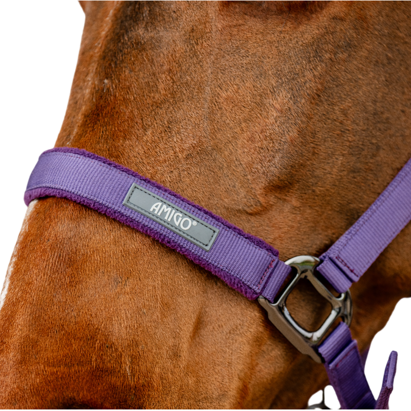 Horseware - Licol et longe Amigo winterberry