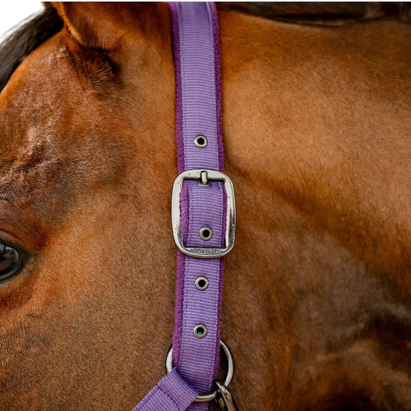Horseware - Licol et longe Amigo winterberry