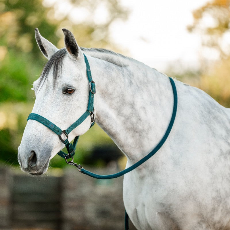 Horseware - Licol et longe dynasty green