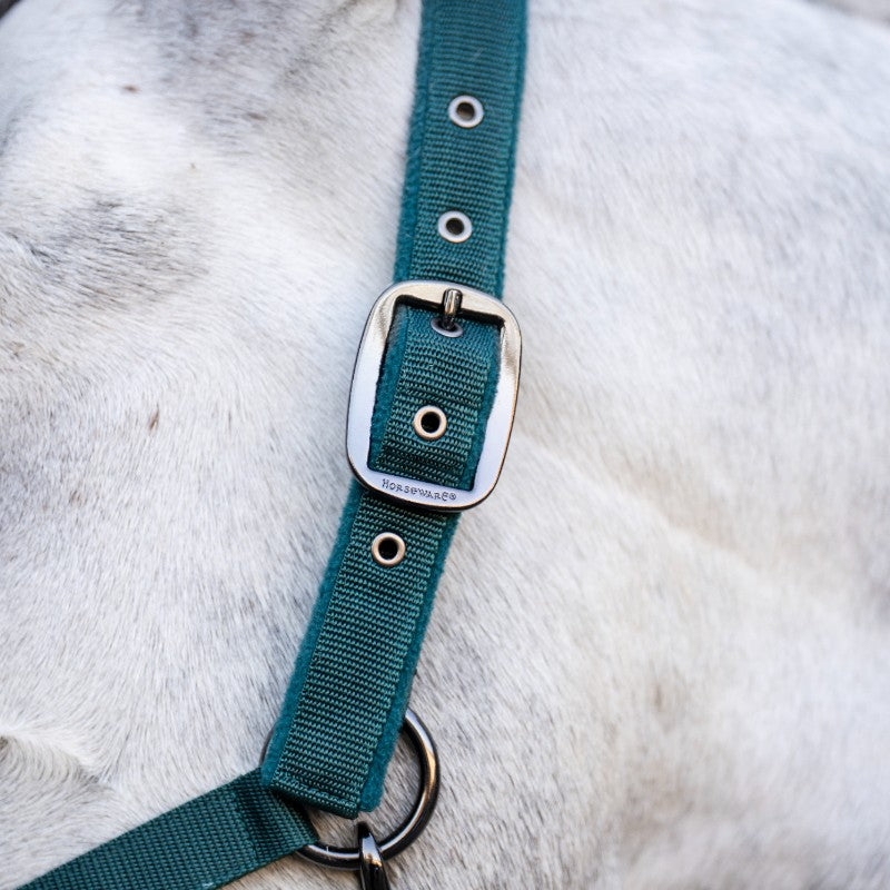 Horseware - Licol et longe dynasty green