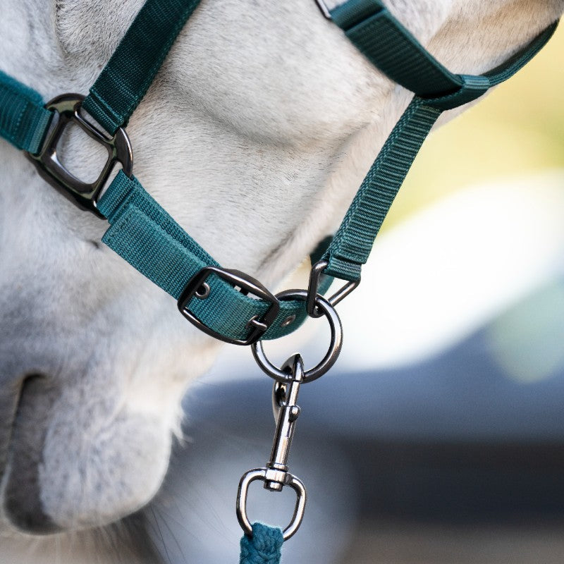 Horseware - Licol et longe dynasty green