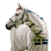 Horseware - Speciaal weidehalster Field Safe marine | - Ohlala