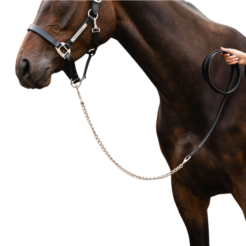 Horseware - Longe en cuir avec chaîne Signature noir