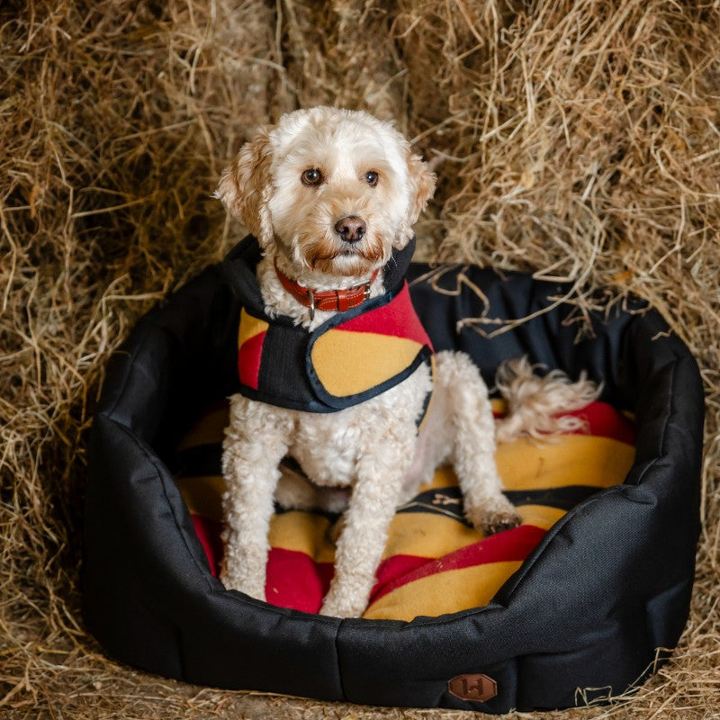 Horseware - Panier pour chien Newmarket witney gold