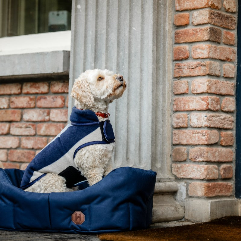 Horseware - Panier pour chien Newmarket witney navy