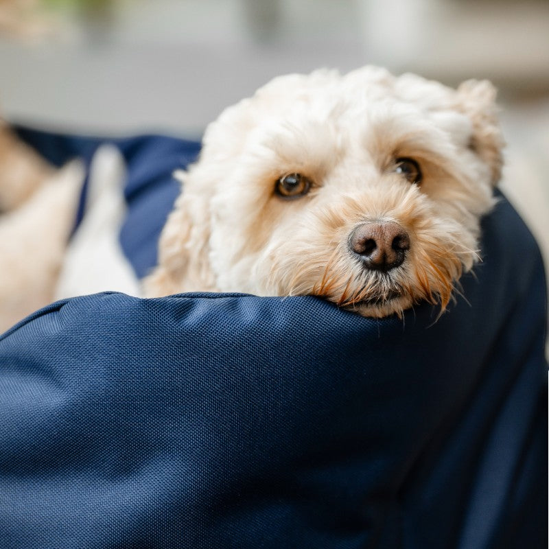 Horseware - Panier pour chien Newmarket witney navy