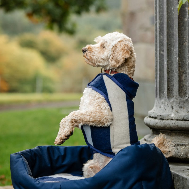 Horseware - Panier pour chien Newmarket witney navy