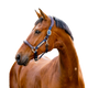 Horseware - Licol pour chevaux Signature Competition marine/ marron | - Ohlala