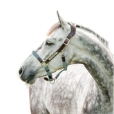 Horseware - Licol pour chevaux Signature Tressé marron/ marine/ blue haze | - Ohlala
