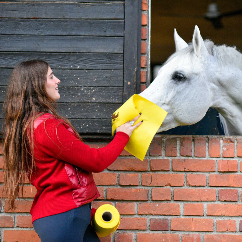 Horsewipe - Rouleau chiffon de nettoyage jaune