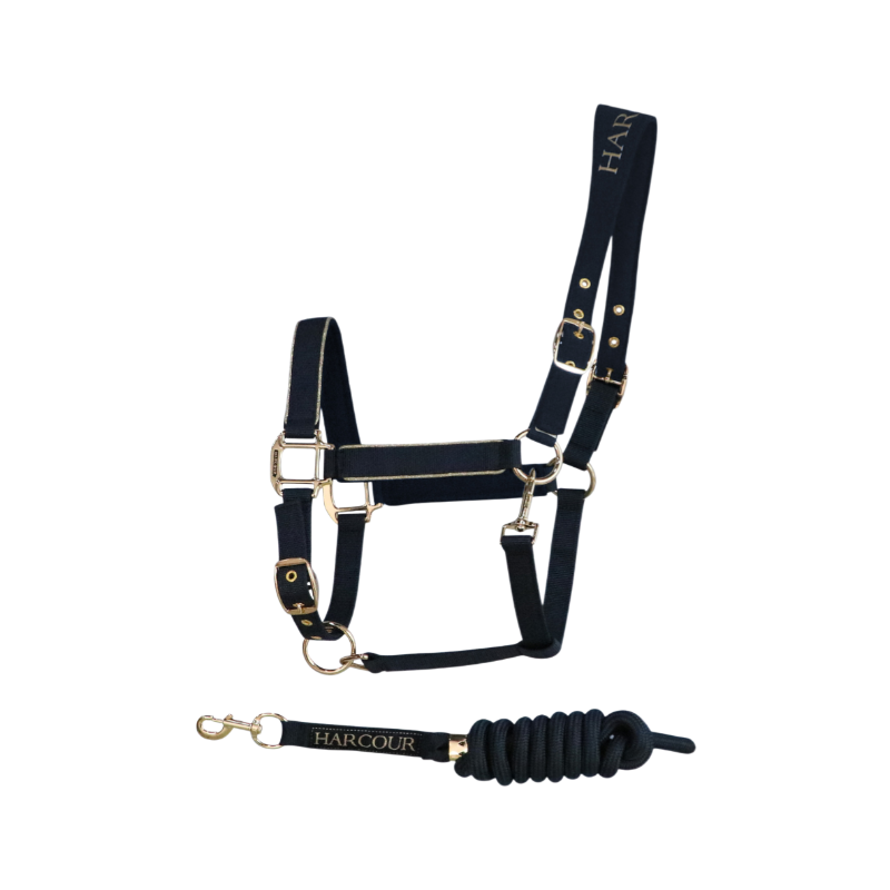 Harcour - Licol et longe Hansy marine/ light gold | - Ohlala