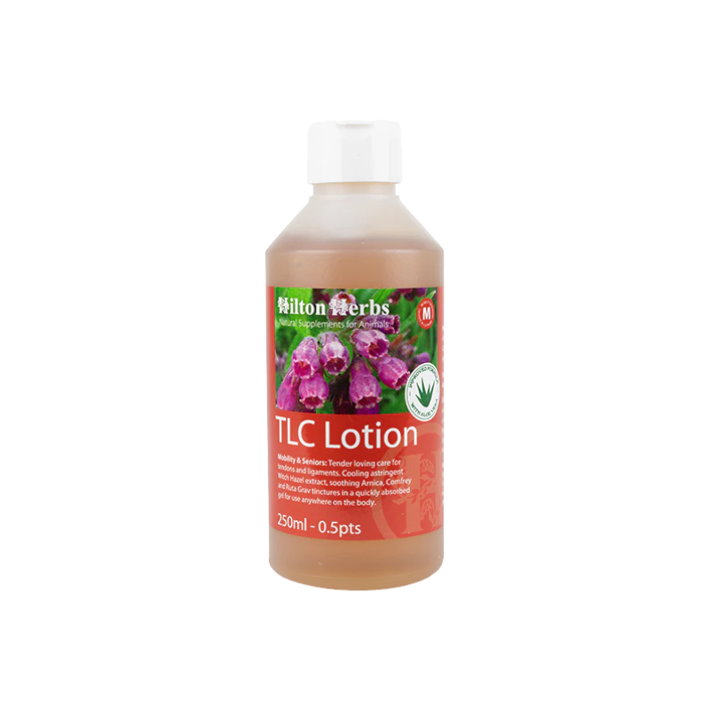 Hilton Herbs - Gel massage rafraîchissant tendons et ligaments TLC Lotion (Leg Aid)