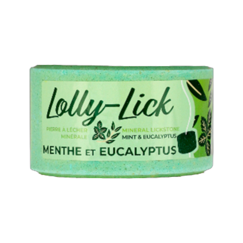 Hippotonic - Pierre à sel Lolly-Lick menthe eucalyptus 700g
