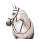 Horseware - Bridon Rambo Micklem 2 Competition havane | - Ohlala
