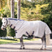 Horseware - Vliegendeken Amigo Bug Rug Plus Pony zilver/ lime/ marine/ roze/ blauw | - Ohlala