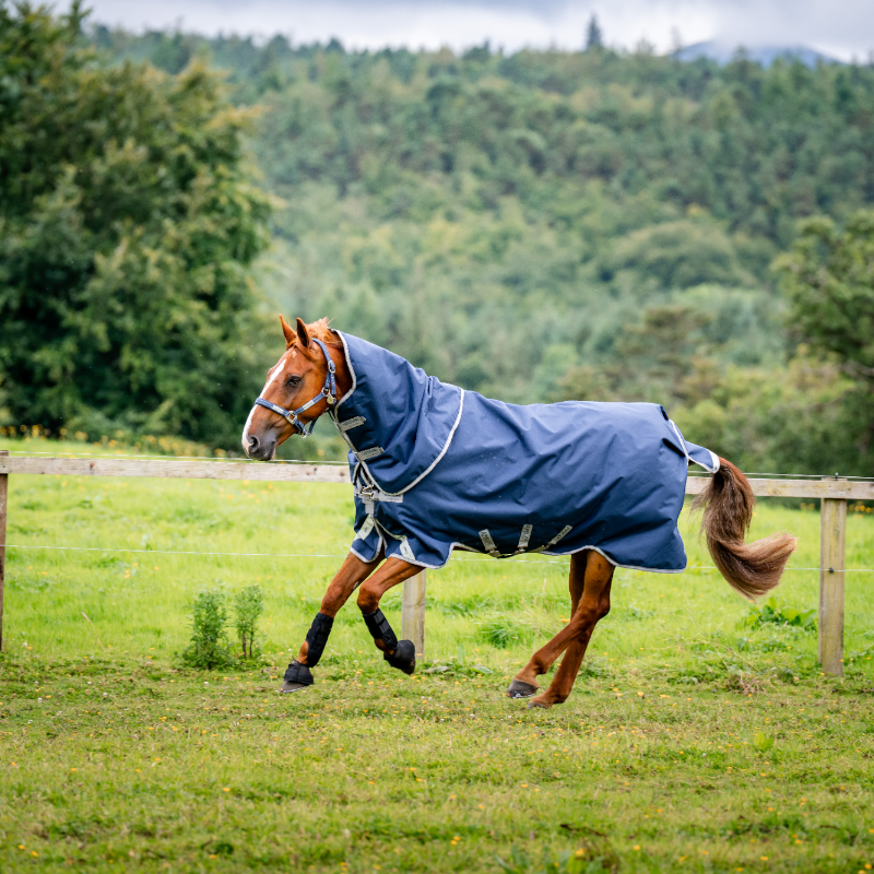 Horseware - Couverture d'extérieur Amigo Bravo Plus Turnout marine/ titanium grey/ argent 50g