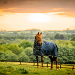 Horseware - Amigo Ripstop Plus Turnout buitendeken witney navy 100g | - Ohlala