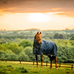 Horseware - Amigo Ripstop Plus Turnout buitendeken witney navy 100g | - Ohlala