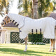 Horseware - Couverture d'extérieur Amigo Ripstop Pony argent/ lime/ marine/ rose/ bleu | - Ohlala