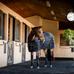 Horseware - Staldeken Amigo Ripstop Insulator Stable zwart/ zilver 350g | - Ohlala