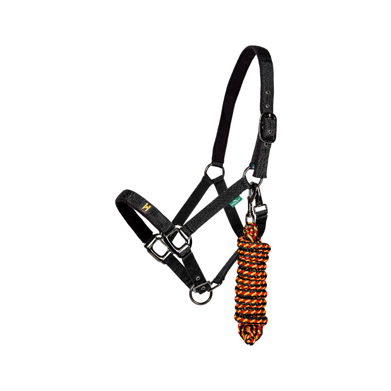 Horseware - Licol et longe Newmarket witney gold